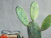 Cactus Love"