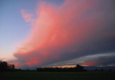 Tutto l'Universo - Foto Guido Comin