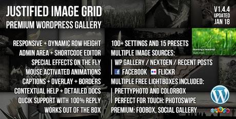 WordPress Responsive Gallery Grid Plugin