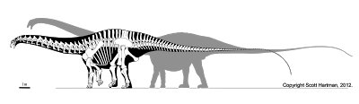 Il Brontosauro, in realtà, non esiste