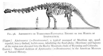 Il Brontosauro, in realtà, non esiste