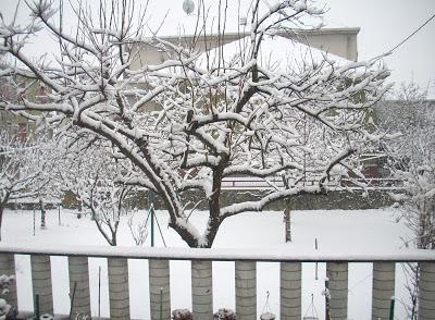 Sotto la neve, pane...