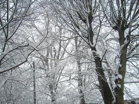 Sotto la neve, pane...