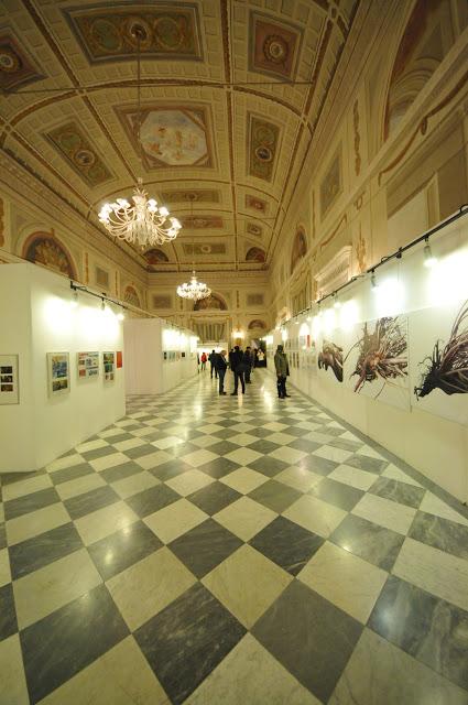 inaugurazione mostra