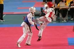taekwondo