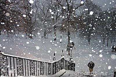 La neve dietro l’obiettivo