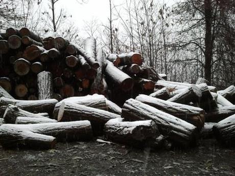 La neve dietro l’obiettivo