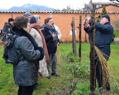 DIWINE FOOD: una gita nel beneventano