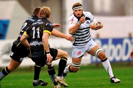 Friday Night Lights: Zebre a casa della capolista Pro