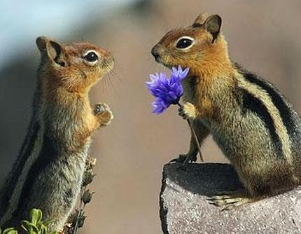 San Valentino,la festa delle coppie..