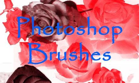 rose brushes 