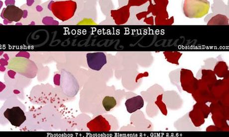 rose brushes 