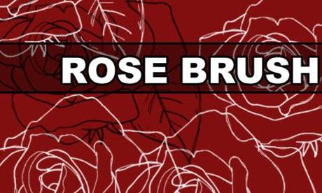 rose brushes 