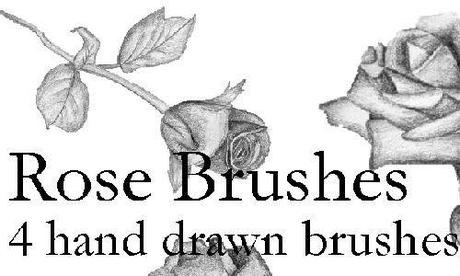 rose brushes 