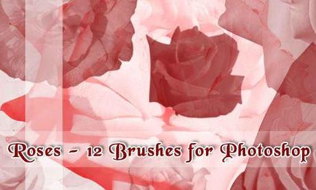 rose brushes 