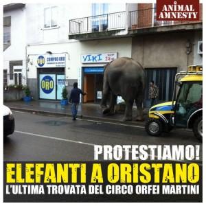 Oristano Un elefante per la città