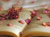 fallace forza blogs