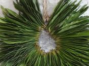 DIY: laurel wreath