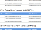 Samsung Galaxy Nexus: disponibile factory images Android 4.2.2 Jelly Bean