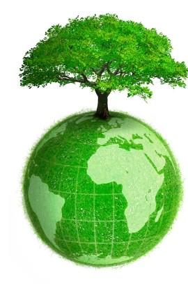 Quel che manca nelle Agende   Parte 2: green economy