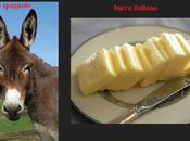 Burro, asino mantequilla