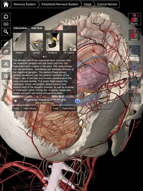 3d 4 medical complete anatomy