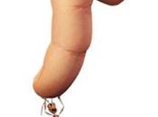 Domanda: conviene essere formiche felici...oggi?