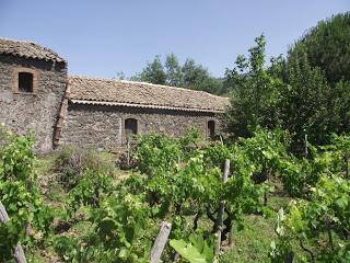 A’ Puddara 2010, “una goduria per il palato”. Il Carricante di Tenuta di Fessina sul blog Vinicolamente