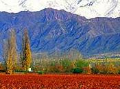 Patagonia, carbone diamante