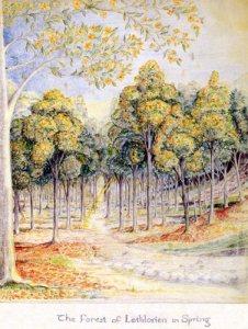 Illustrazione di Tolkien di Lothlorien in primavera