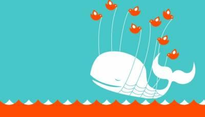 Fail Whale