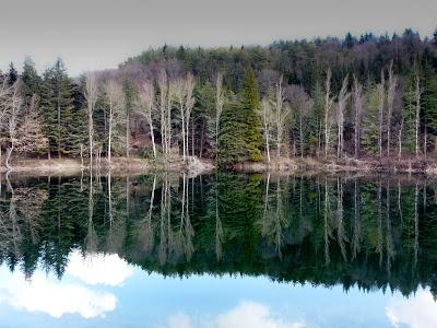 2013 Trekking fallito sul Pellecchia...