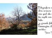 Voci donne Concorso fotografico