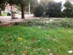 Foggia, degrado Parco San Felice: buche e siringhe