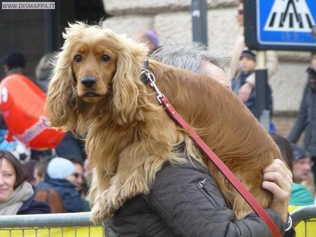 Giulietta&Romeo Half Marathon 2013