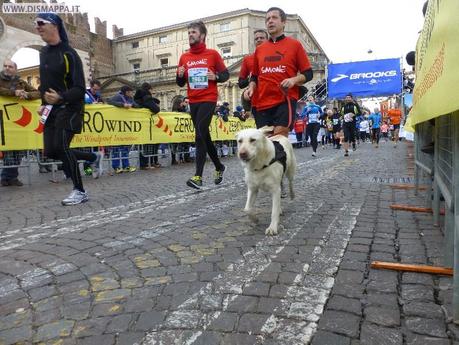 Giulietta&Romeo Half Marathon 2013