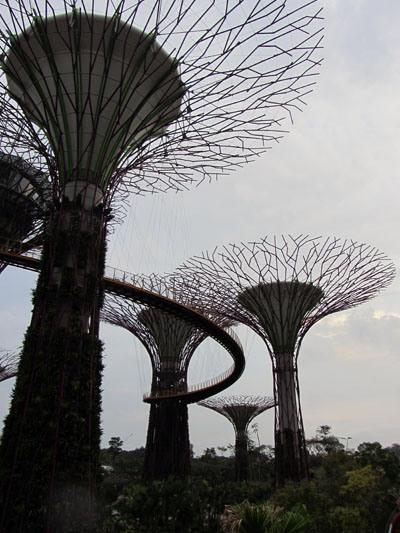 Gardens by the Bay_singapore_viaggiandovaldi