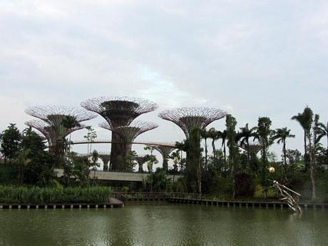 Gardens by the Bay_singapore_viaggiandovaldi