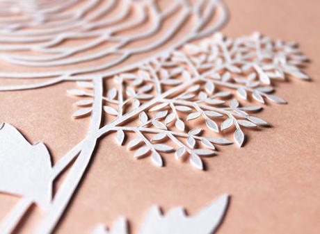 ranuncolo papercut