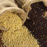 Quinoa e amaranto, cereali più ricchi di sostanze nutritive ma senza glutine