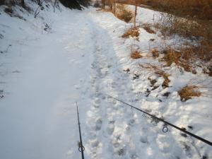 Neve verso il fiume... Pesca in Adige