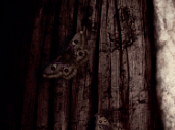 Jessica Chastain protagonista queste terrificante prima clip dell'horror Madre