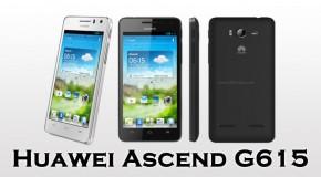 Huawei Ascend G615 - Logo