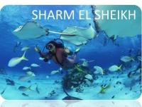 Flyplanet vi porta a Sharm el Sheikh con €99,99