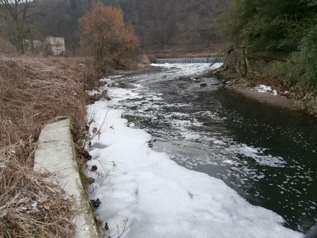 Teniamo alta l' attenzione sul  Fiume Olona