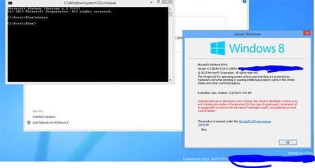 windowsblue