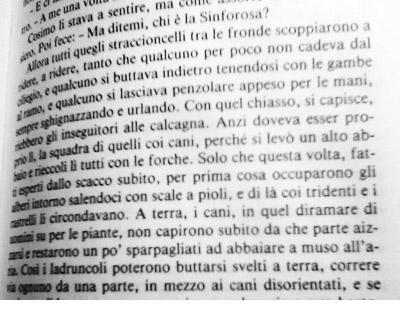 In lettura (20.02.13)