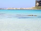 TripAdvisor: belle spiagge mondo Sardegna Sicilia