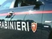 ORTA NOVA rubano parco eolico: arresti