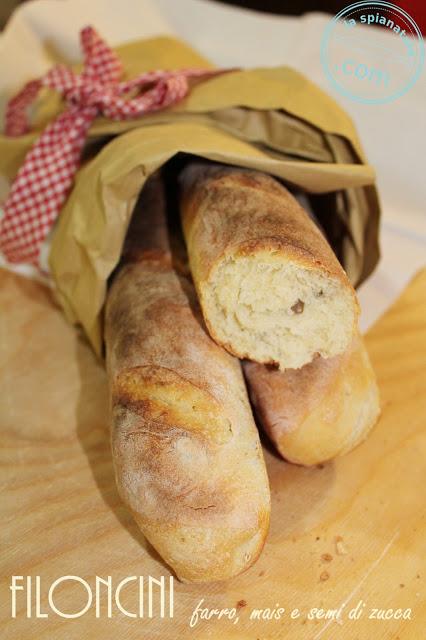 Filoncini farro e mais con semi di zucca